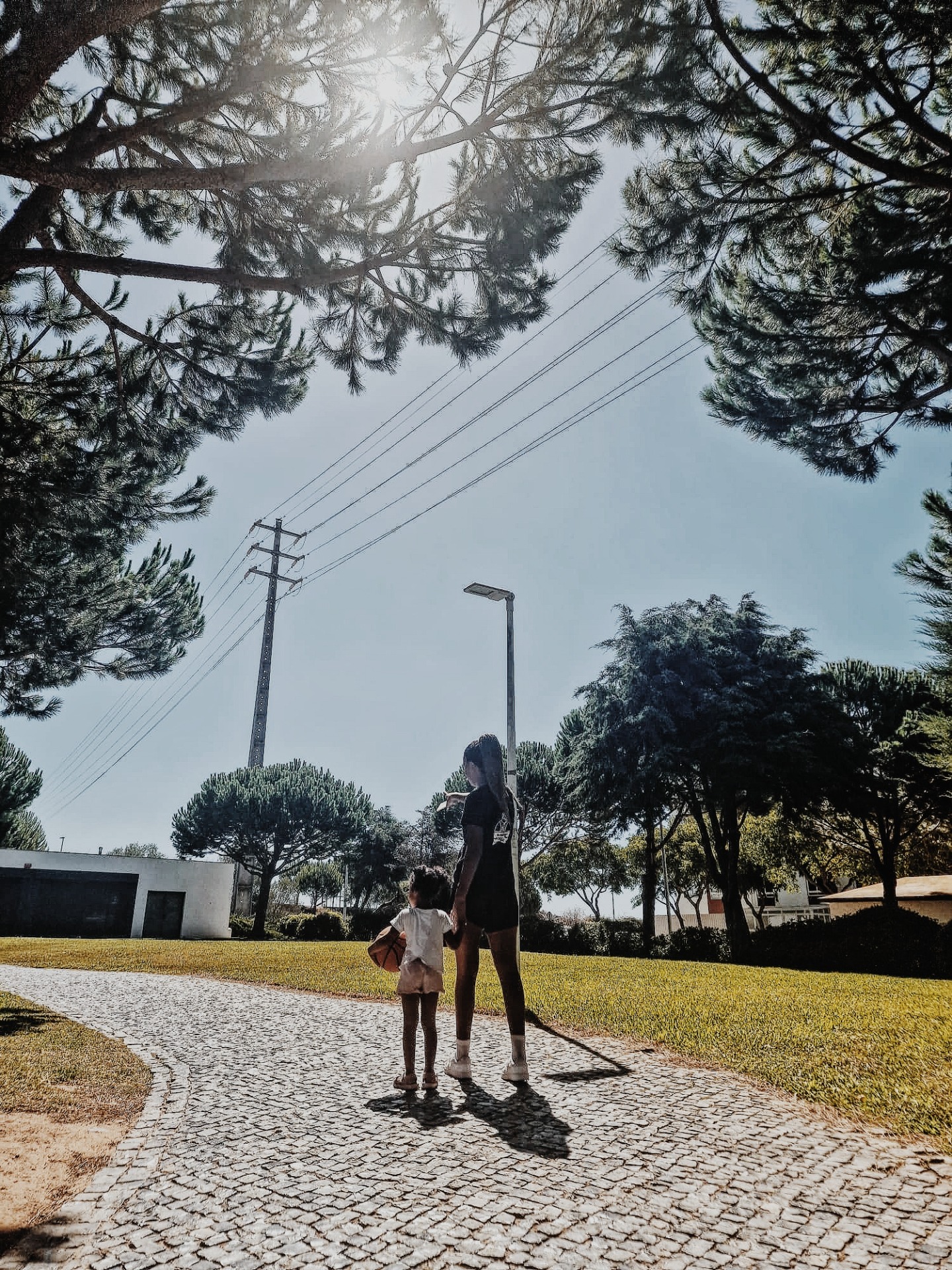 Desporto